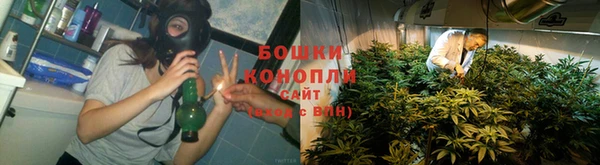 прущие грибы Балахна