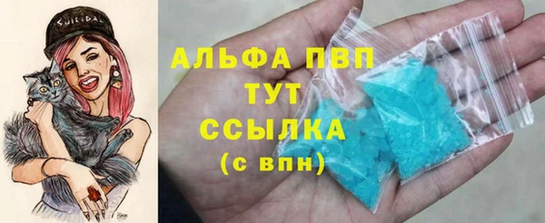 прущие грибы Балахна