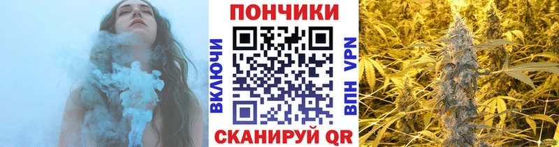 Канабис гибрид  Купить  Сосенский 